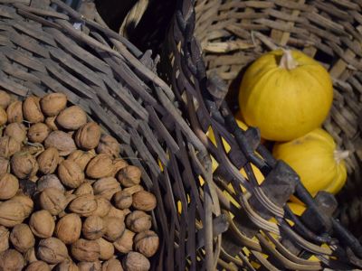 Alimentazione